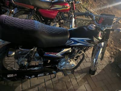 Honda cg 125 24/25 model