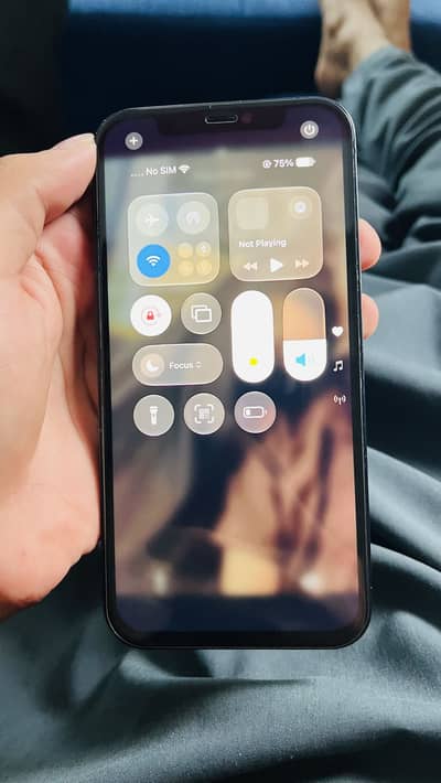 Apple iPhone 12