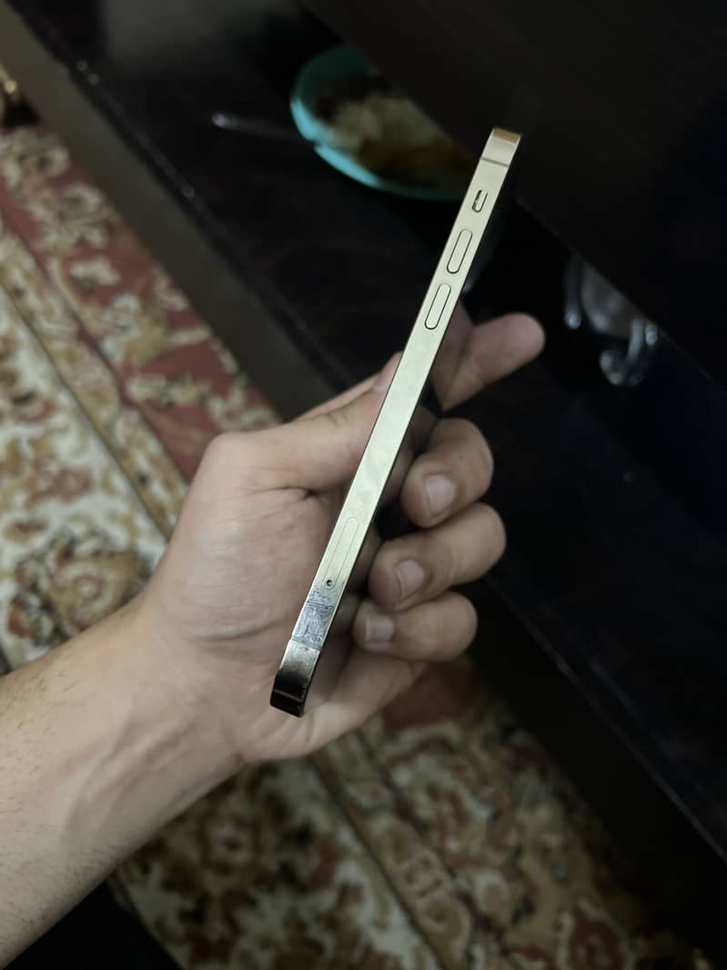 Apple iPhone 12 Pro 2