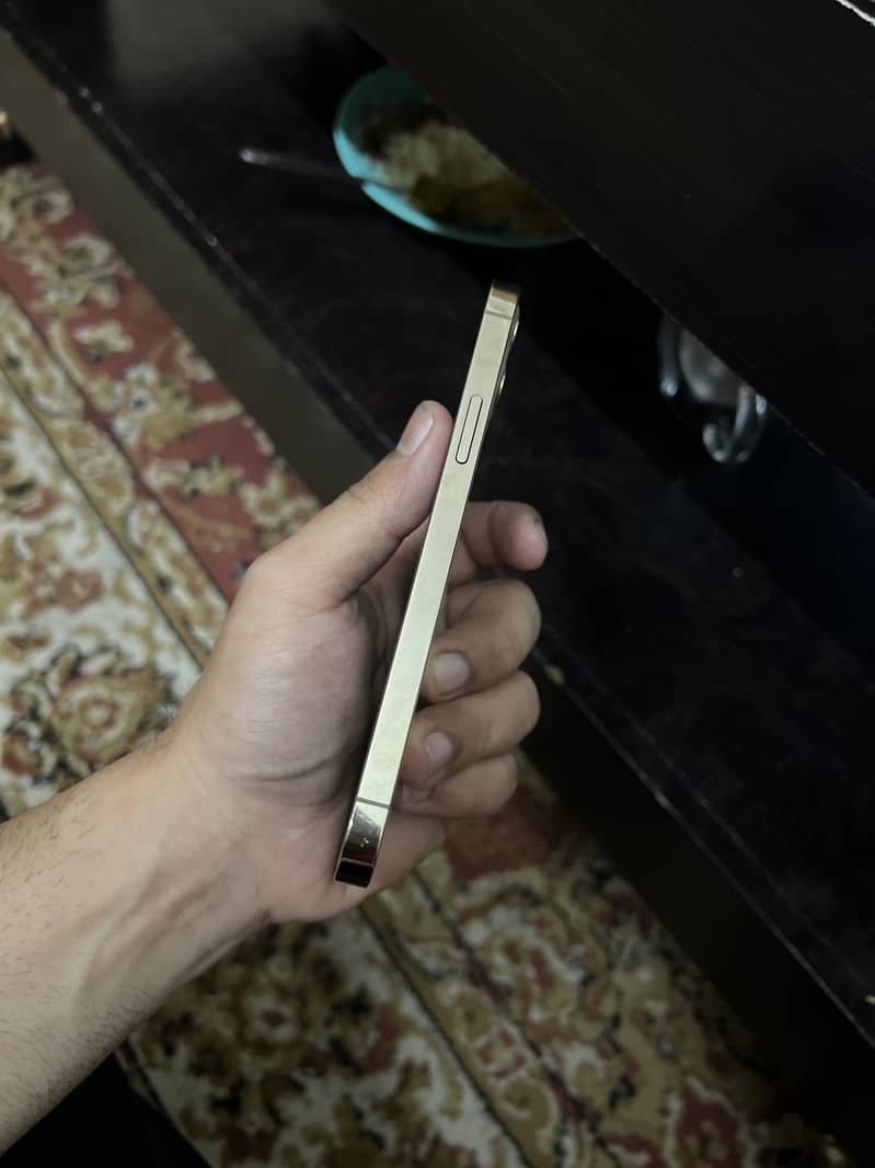 Apple iPhone 12 Pro 3