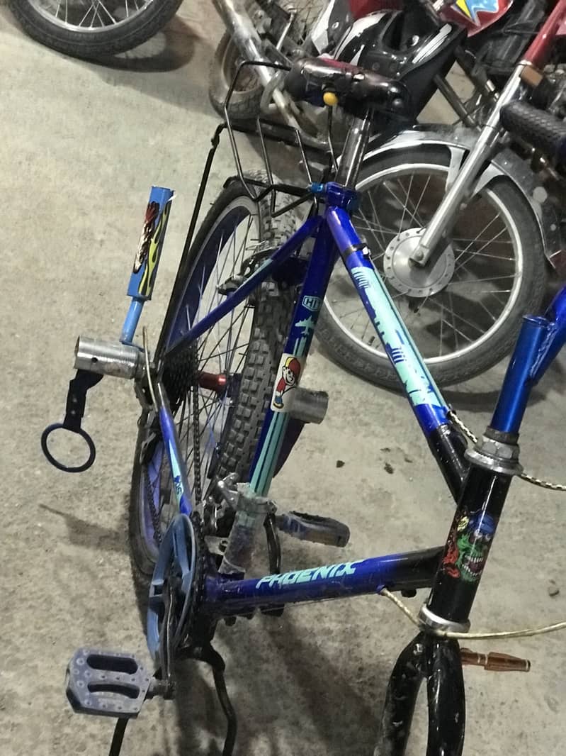 Phoneix Cycle 1