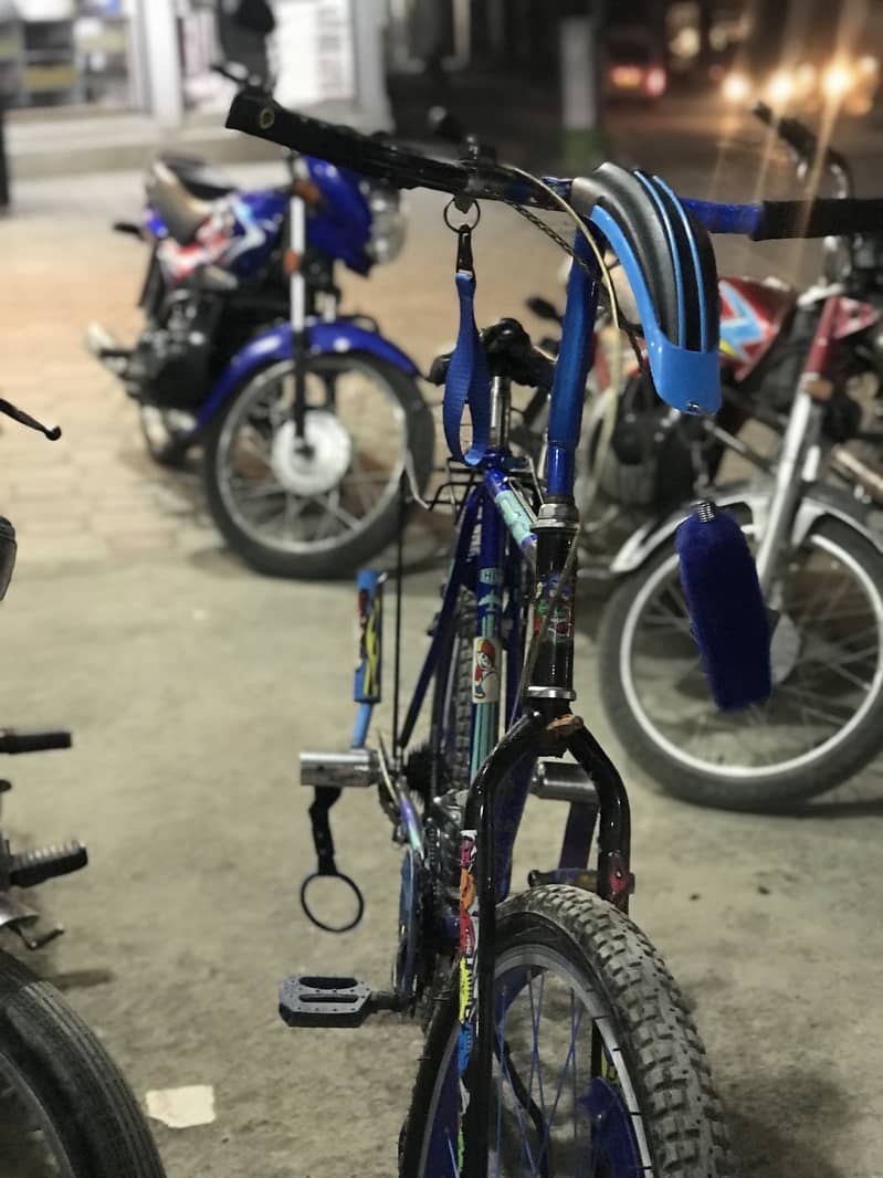 Phoneix Cycle 2