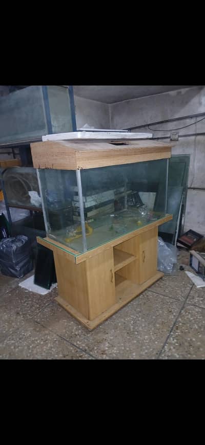 Fish aquarium