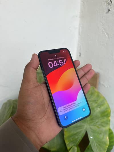 Apple iPhone 13 Pta approve