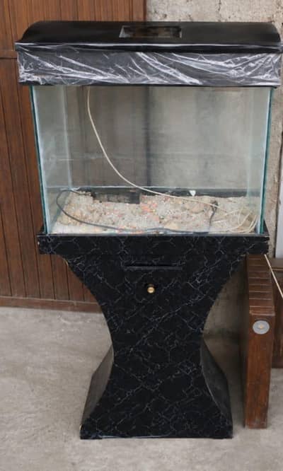 aquarium