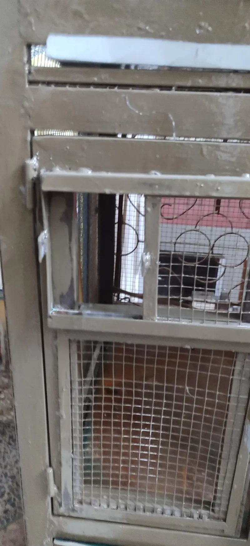 cage for sale — photo 2