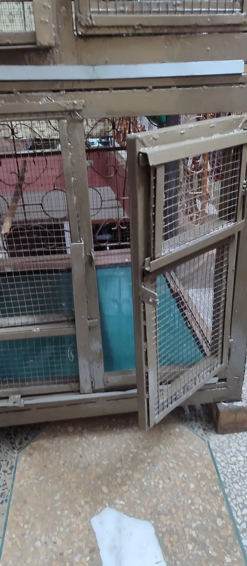 cage for sale — photo 3