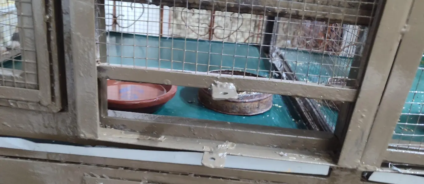 cage for sale — photo 4