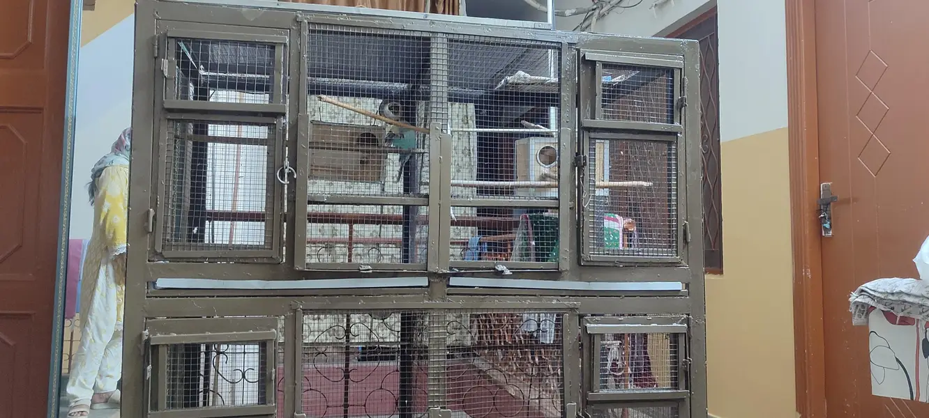 cage for sale — photo 5
