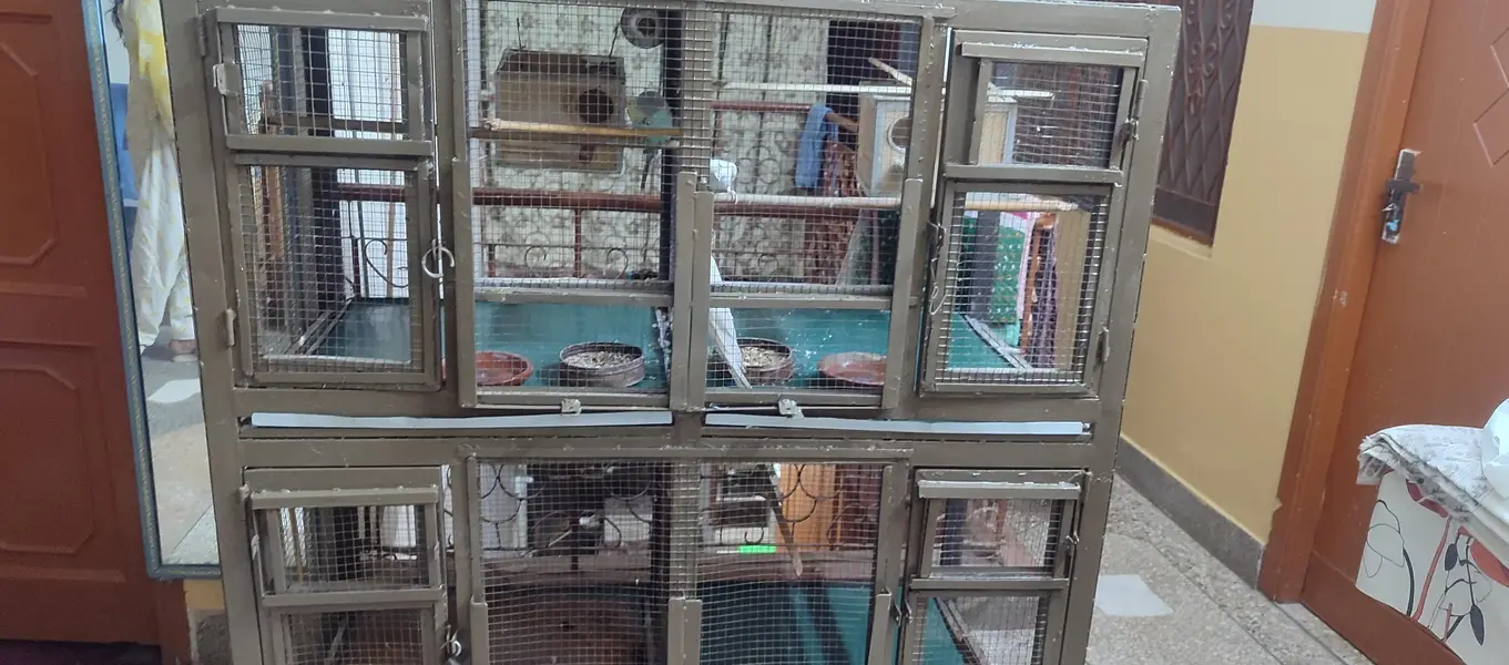 cage for sale — photo 6