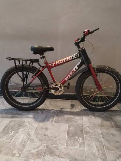 Phoenix Bicycle