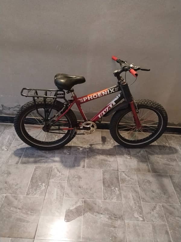 Phoenix Bicycle 1