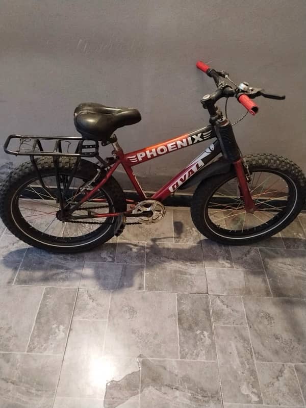 Phoenix Bicycle 2