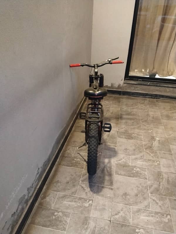 Phoenix Bicycle 3