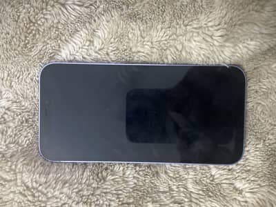 Apple iPhone 12