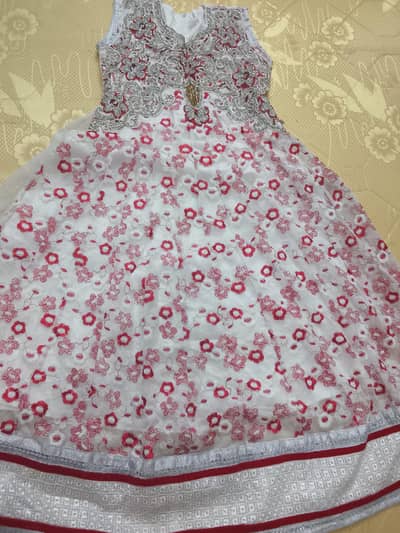 embroidery dresse