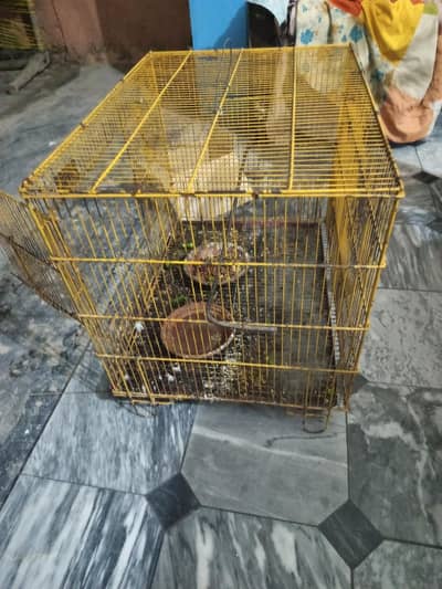 cages for sell