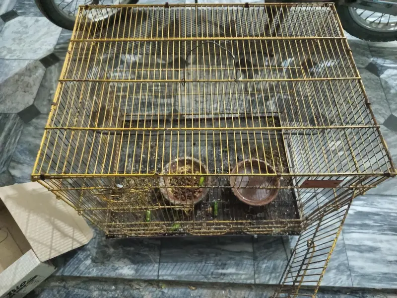 cages for sell — photo 2