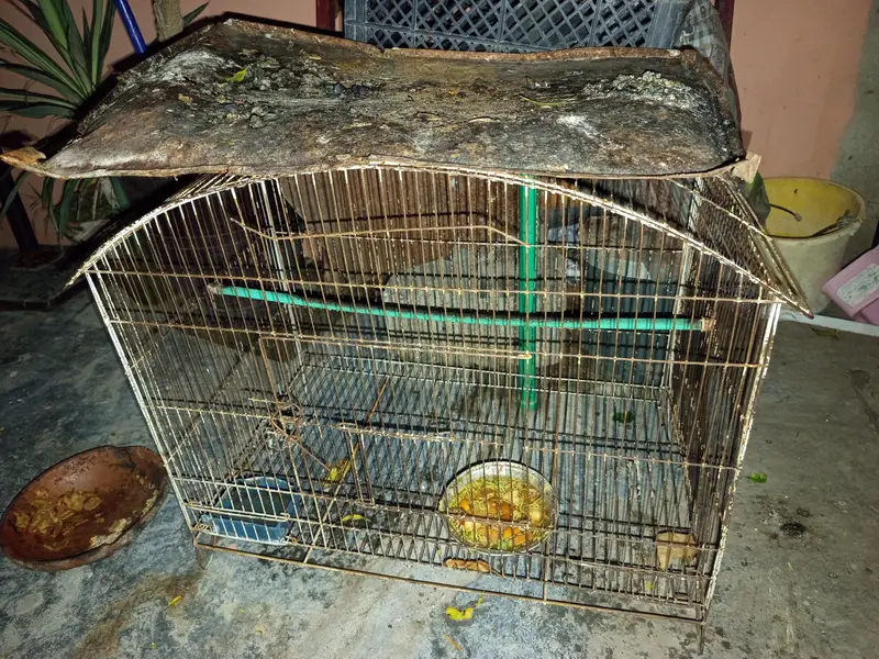 cages for sell — photo 3