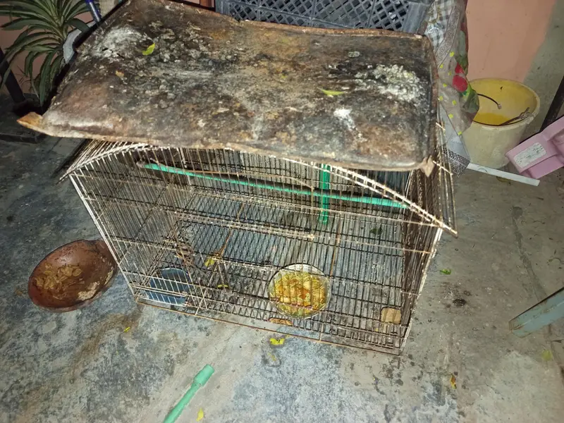 cages for sell — photo 4