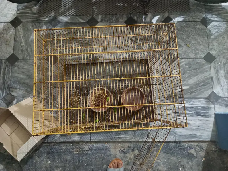cages for sell — photo 5