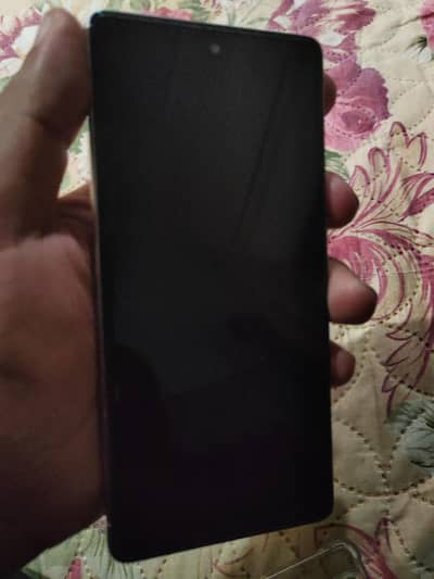 Google Pixel 7 8/256 panal Change