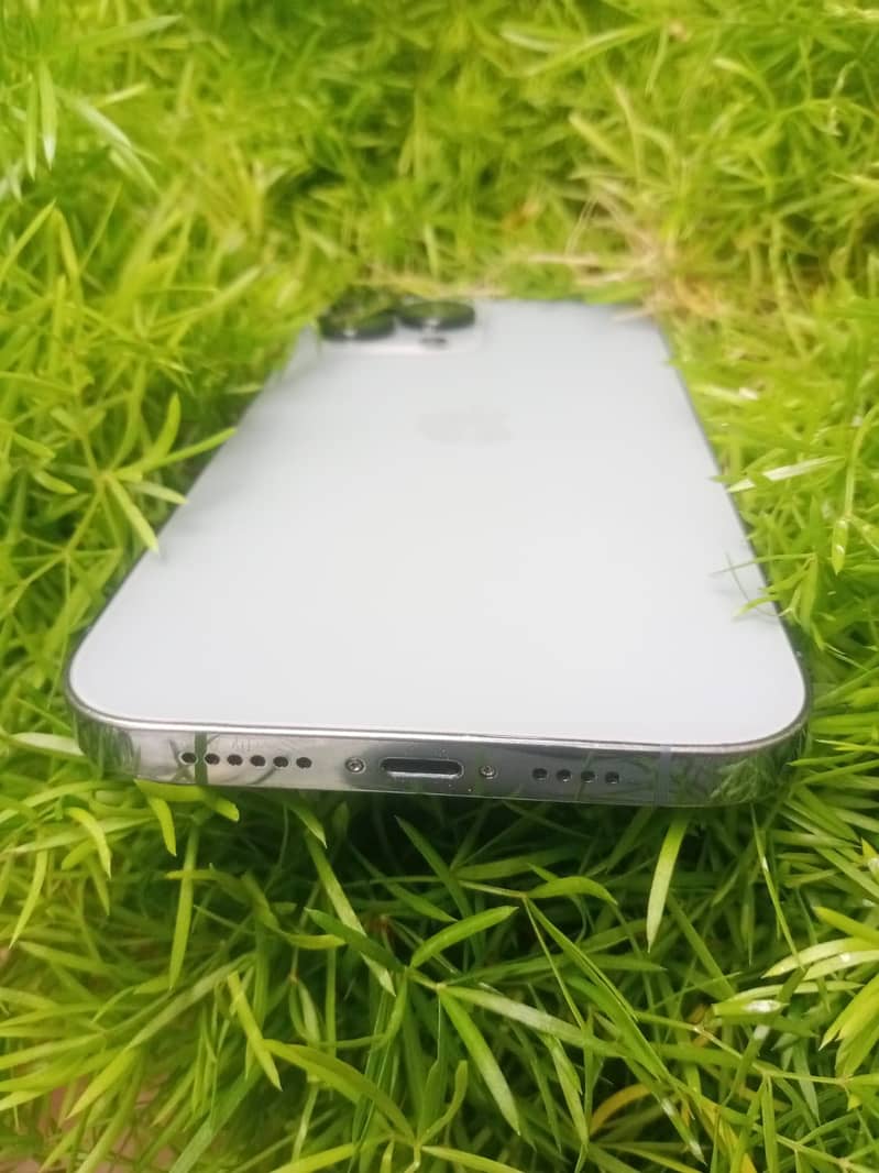 Apple iPhone 13 Pro Max 2