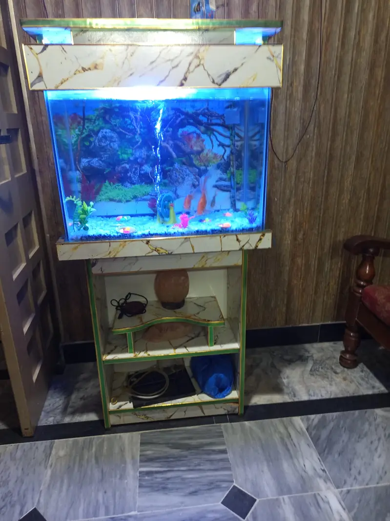 fancy Aquarium with stand and complete setup with fishes for sale — photo 2