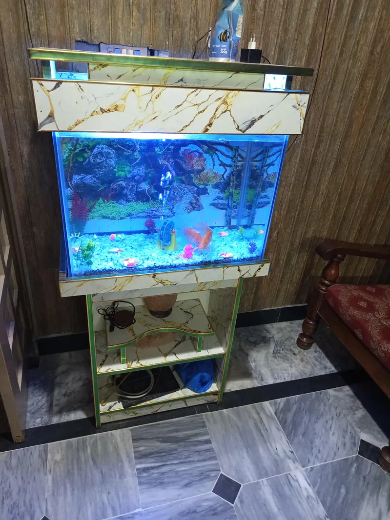 fancy Aquarium with stand and complete setup with fishes for sale — photo 3