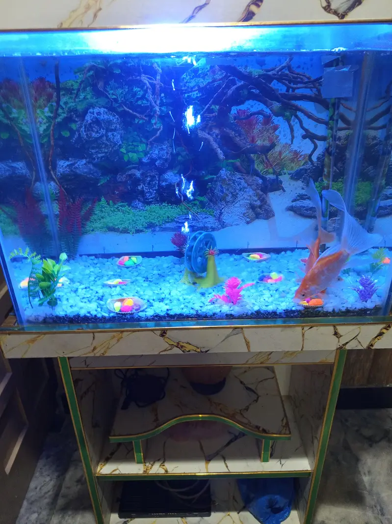 fancy Aquarium with stand and complete setup with fishes for sale — photo 6