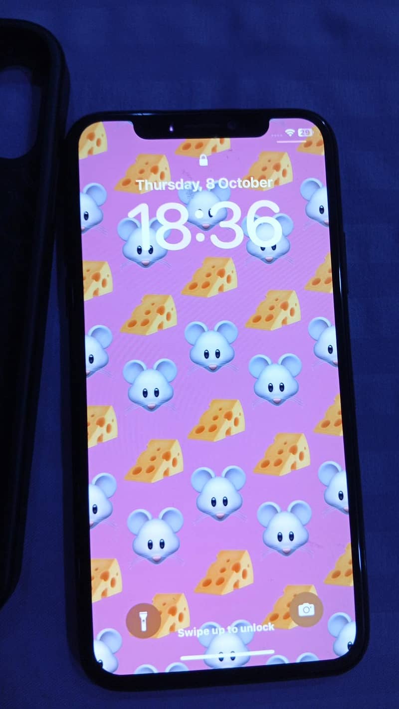 Apple iPhone 11 0