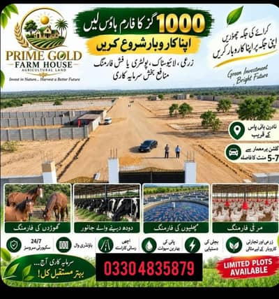 Cattle farm house