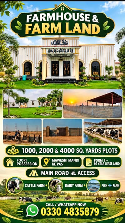 Cattle farm house