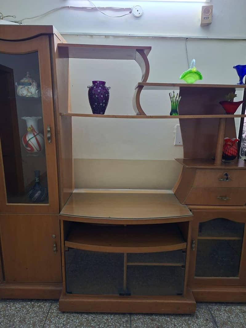 Showcase plus TV Stand 2