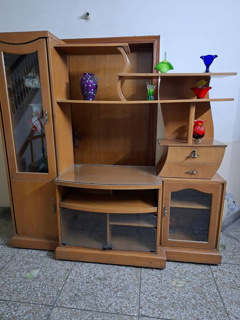 Showcase plus TV Stand 4
