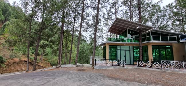 "Green House" Where the Mountains Whisper & Nature Embraces You