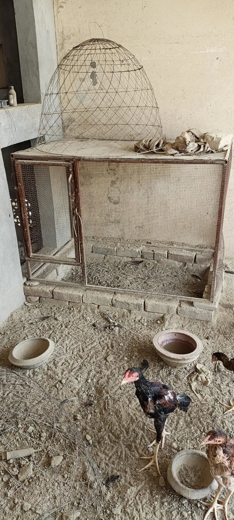 cages for sale in lahor — photo 2