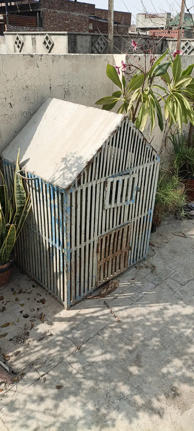 cages for sale in lahor — photo 3