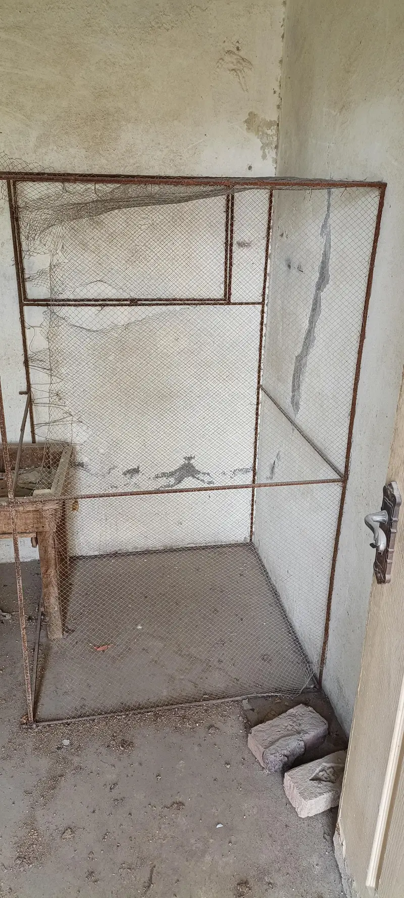cages for sale in lahor — photo 4