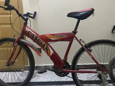 Caspian 28 inch cycle