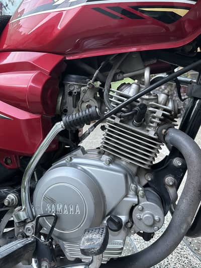 Yb 125Z 2019