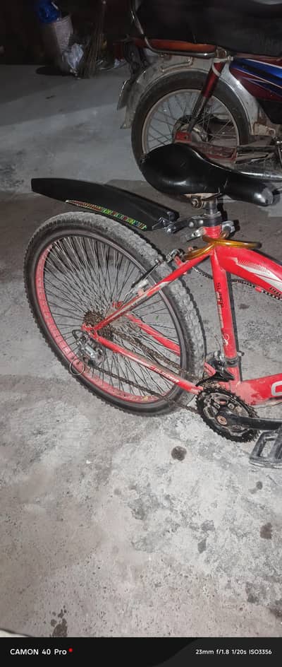 cruiser bicycle