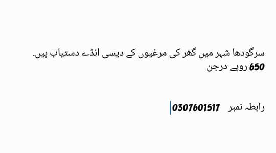 دیسی انڈے دستیاب ہیں