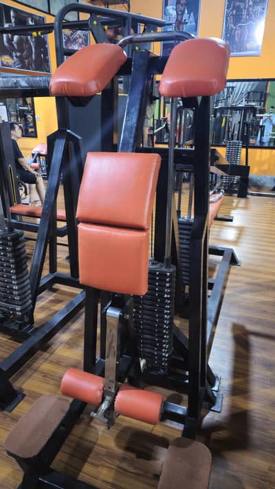 standing leg curl