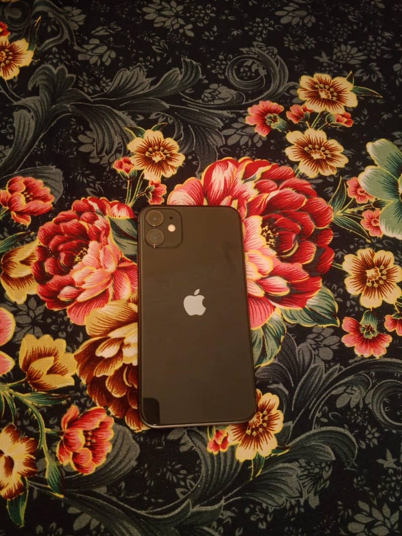 Apple iPhone 11 5