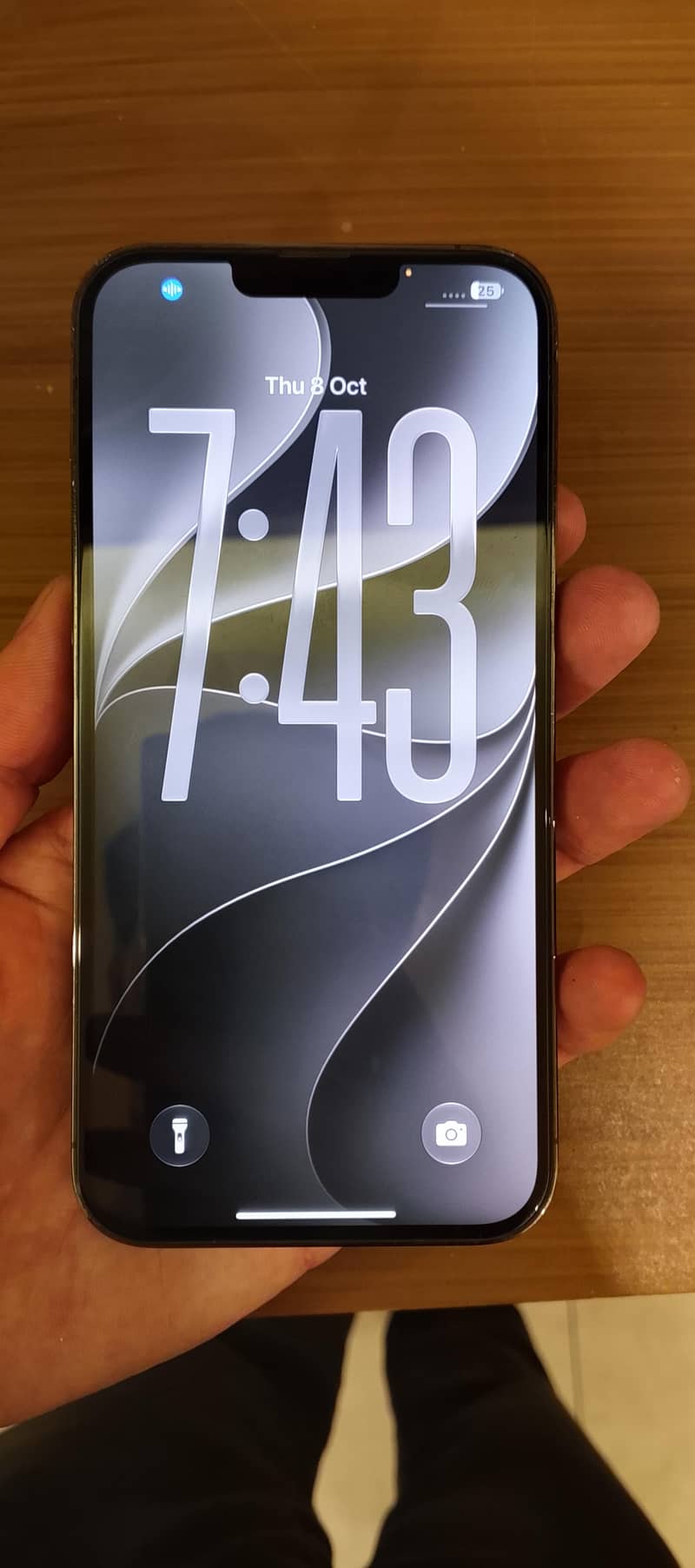 Apple iPhone 13 Pro Max 3