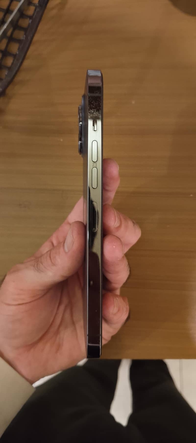 Apple iPhone 13 Pro Max 5