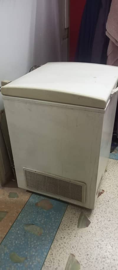 Pel single door freezer