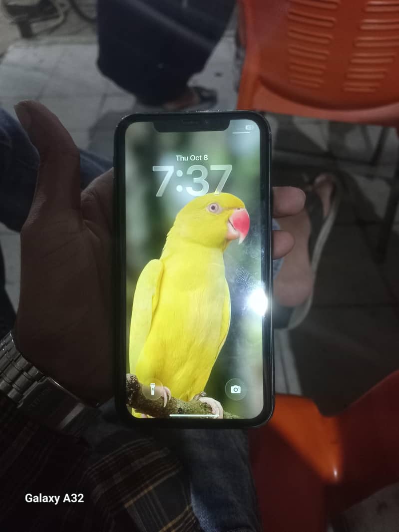 Apple iPhone 11 0