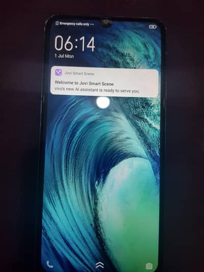 Vivo S1